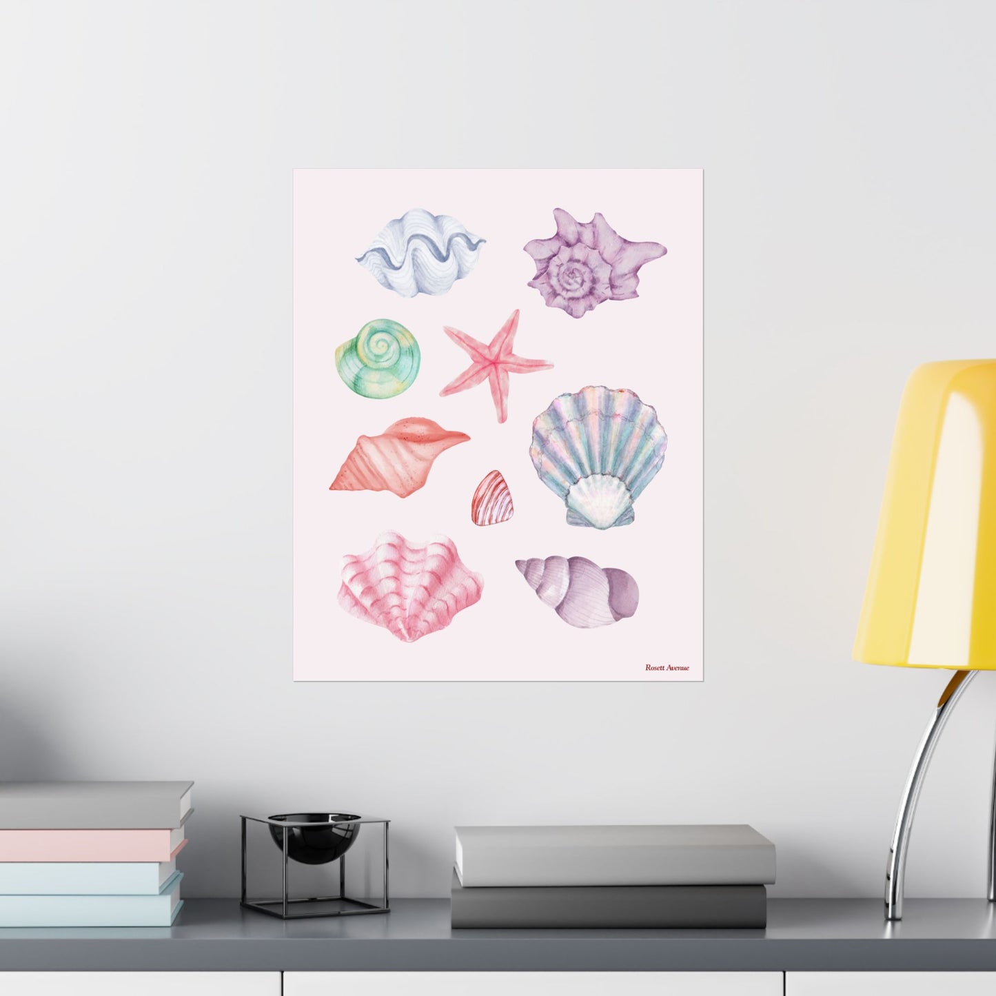Coastal Shells