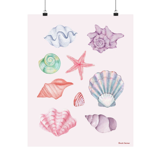 Coastal Shells